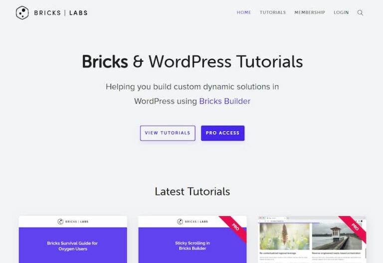 Bricks Labs